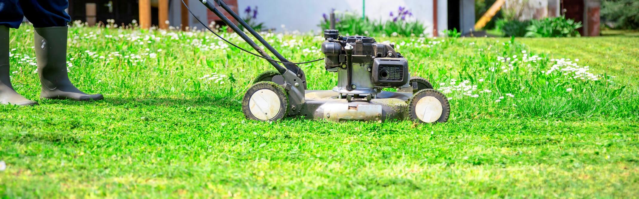How to Start a Lawn Care Business [Quick Guide]